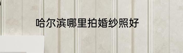 哈尔滨哪里拍婚纱照好