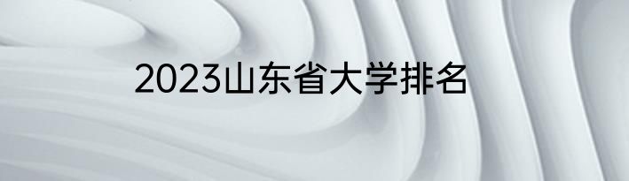 2023山东省大学排名