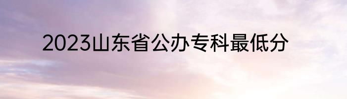 2023山东省公办专科最低分
