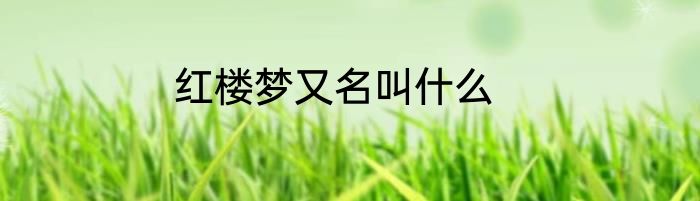 红楼梦又名叫什么