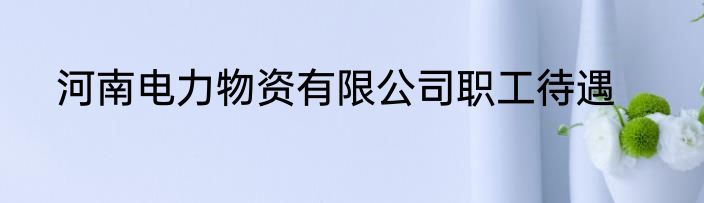 河南电力物资有限公司职工待遇