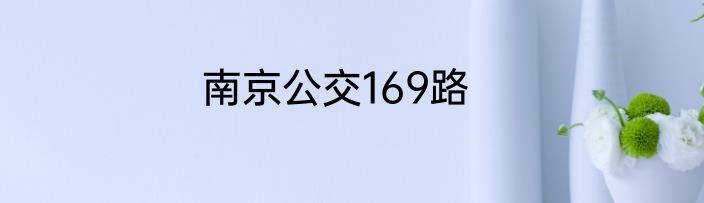 南京公交169路