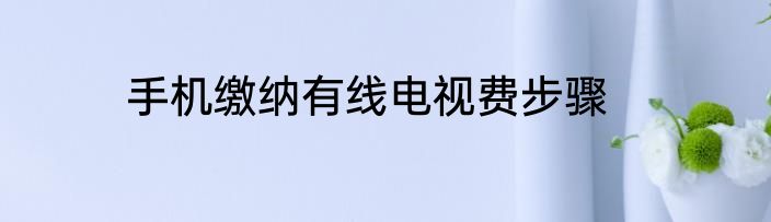 手机缴纳有线电视费步骤