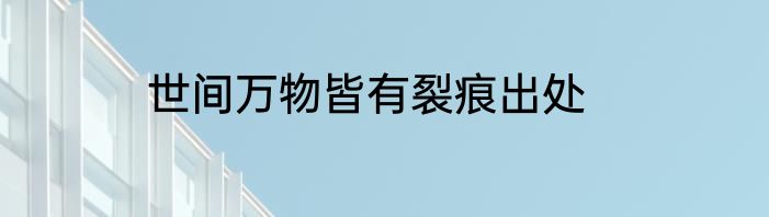 世间万物皆有裂痕出处