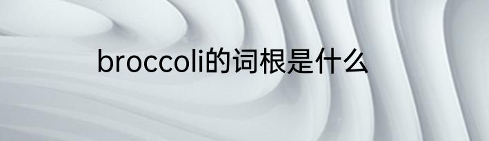 broccoli的词根是什么