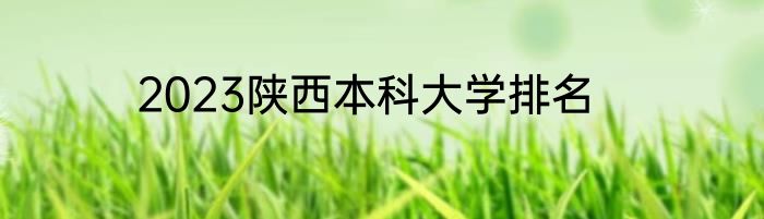 2023陕西本科大学排名