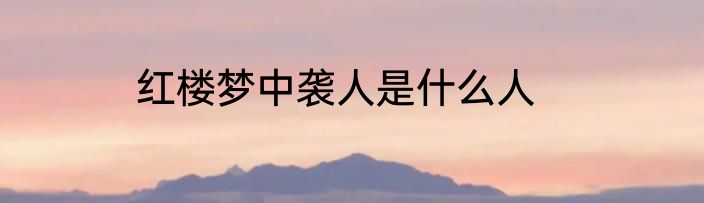 红楼梦中袭人是什么人