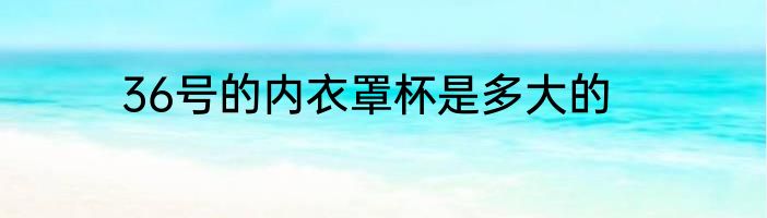 36号的内衣罩杯是多大的