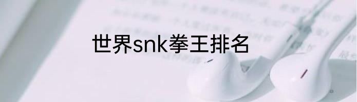 世界snk拳王排名