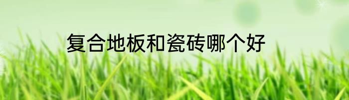 复合地板和瓷砖哪个好
