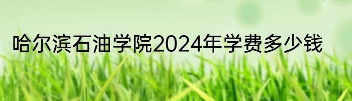 哈尔滨石油学院2024年学费多少钱