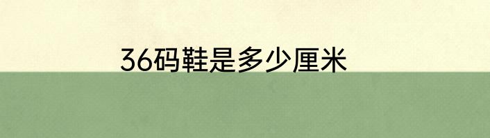 36码鞋是多少厘米