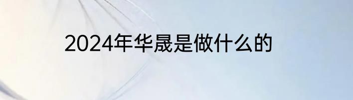 2024年华晟是做什么的