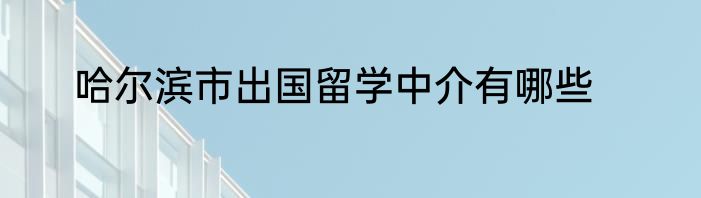 哈尔滨市出国留学中介有哪些
