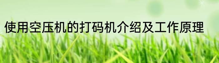 使用空压机的打码机介绍及工作原理