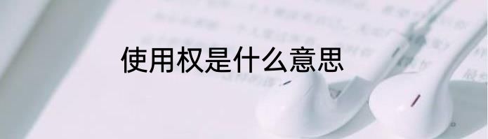 使用权是什么意思