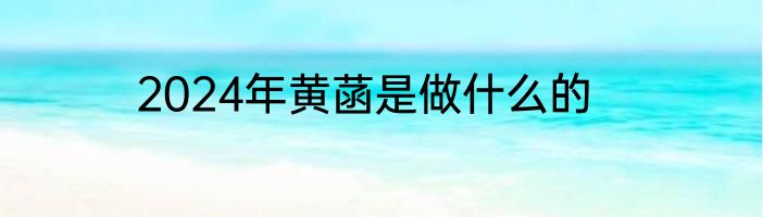 2024年黄菡是做什么的