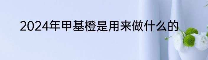 2024年甲基橙是用来做什么的