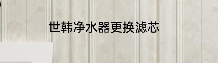 世韩净水器更换滤芯