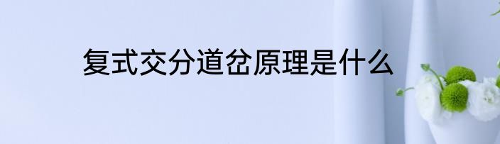 复式交分道岔原理是什么