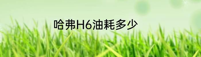 哈弗H6油耗多少