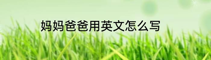 妈妈爸爸用英文怎么写