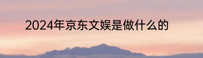 2024年京东文娱是做什么的