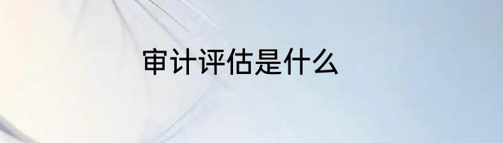 审计评估是什么