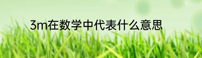 3m在数学中代表什么意思