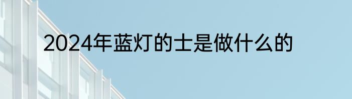 2024年蓝灯的士是做什么的