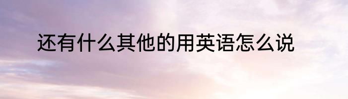 还有什么其他的用英语怎么说