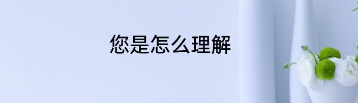 您是怎么理解