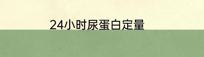 24小时尿蛋白定量