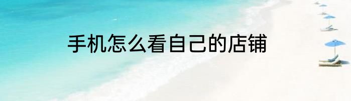 手机怎么看自己的店铺