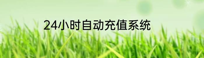 24小时自动充值系统