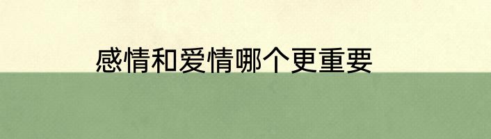 感情和爱情哪个更重要