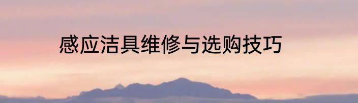 感应洁具维修与选购技巧