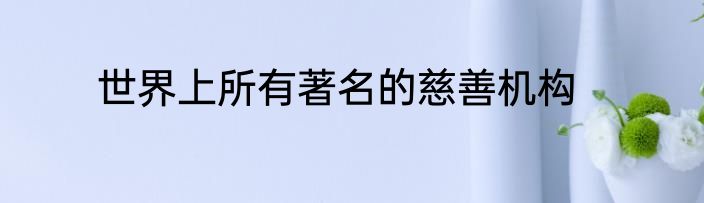 世界上所有著名的慈善机构
