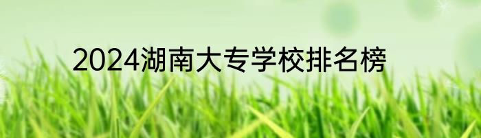 2024湖南大专学校排名榜