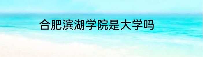 合肥滨湖学院是大学吗