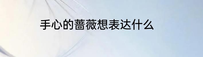 手心的蔷薇想表达什么