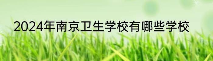 2024年南京卫生学校有哪些学校