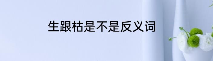 生跟枯是不是反义词