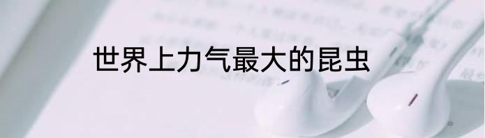 世界上力气最大的昆虫