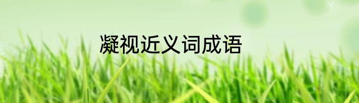 凝视近义词成语
