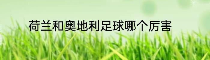 荷兰和奥地利足球哪个厉害