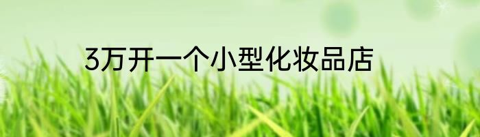 3万开一个小型化妆品店