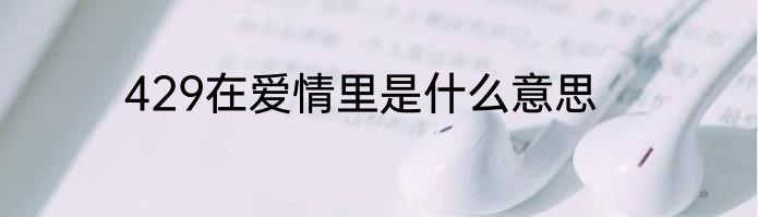 429在爱情里是什么意思