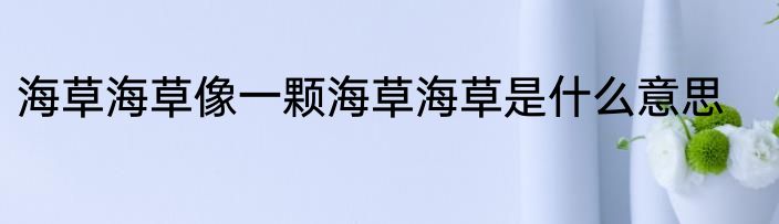海草海草像一颗海草海草是什么意思