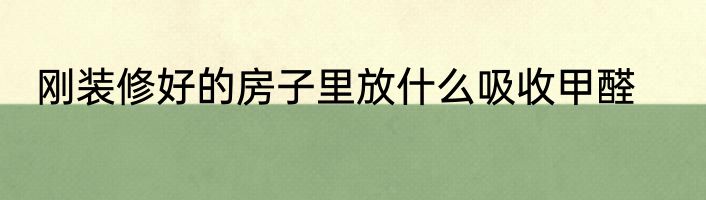 刚装修好的房子里放什么吸收甲醛